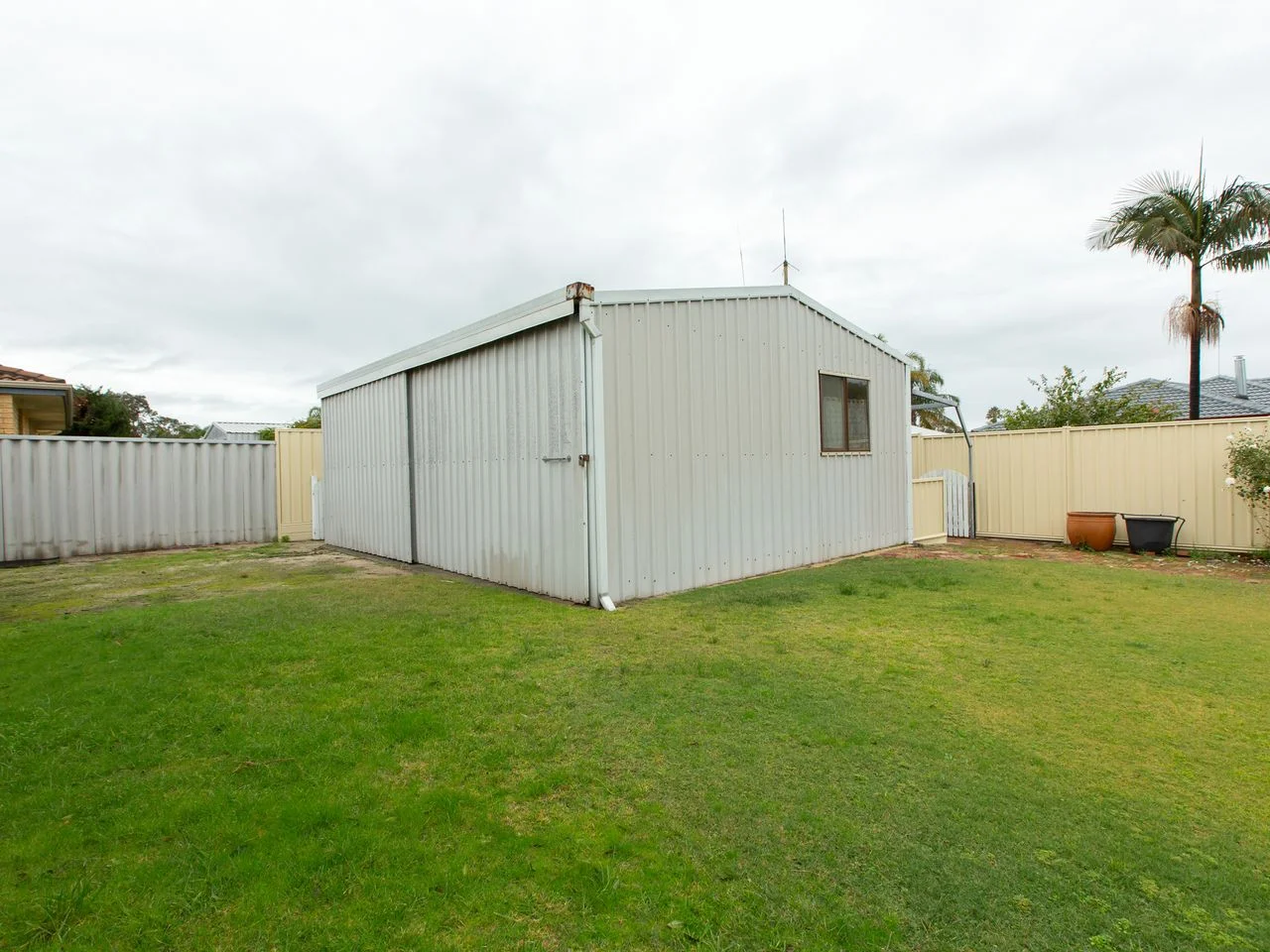 Image 19
