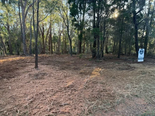 Image 6