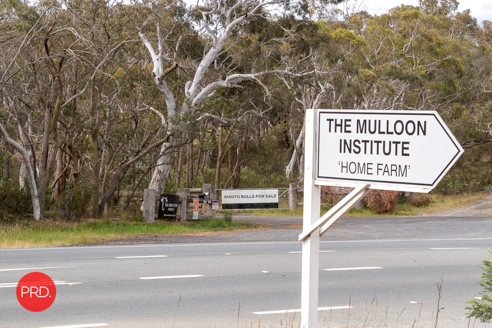 Additional image 8 of 3578 Kings Highway, Bungendore NSW 2621