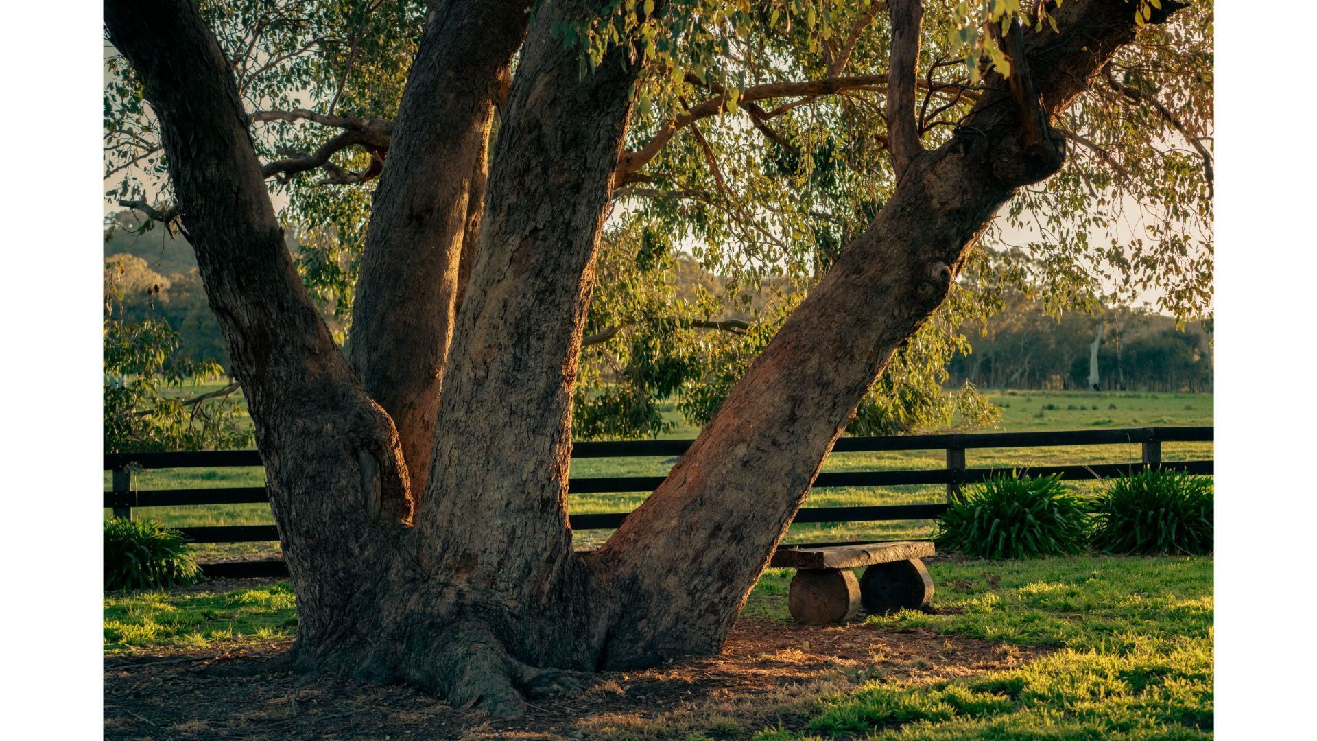 Rural in , EUROA VIC, 3666