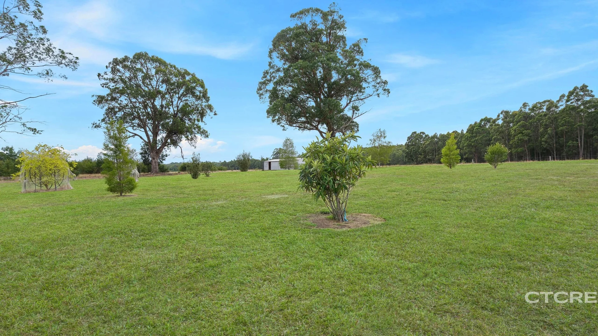 Additional image 9 of 177 Tamboon Road, Cann River VIC 3890