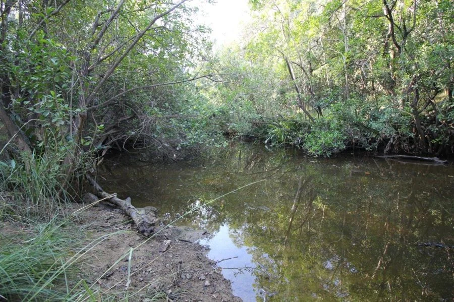 Image 32