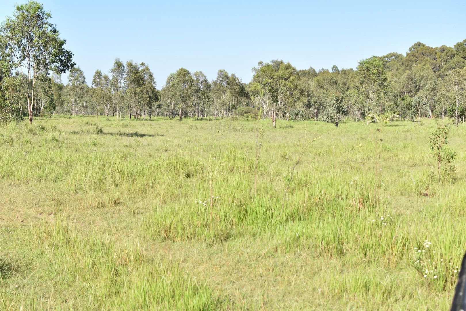 Vinegar Hill Road, Lower Acacia Creek NSW 2476, Image 0