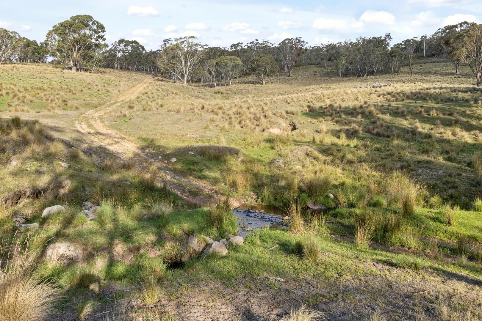 Additional image 36 of 507 Harolds Cross Road, Braidwood NSW 2622