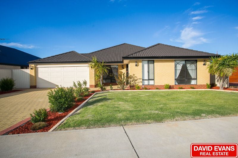 36 Colwyn Loop, Tapping WA 6065, Image 0