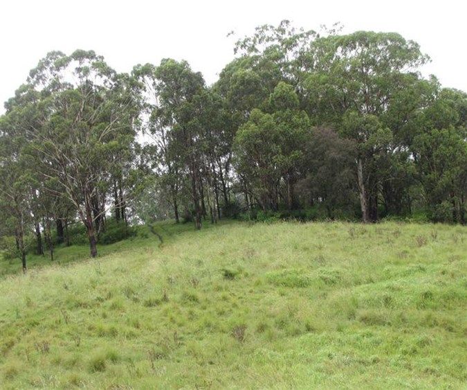 Lot 21 Green Pigeon Road, HORSESHOE CREEK NSW 2474, Image 0