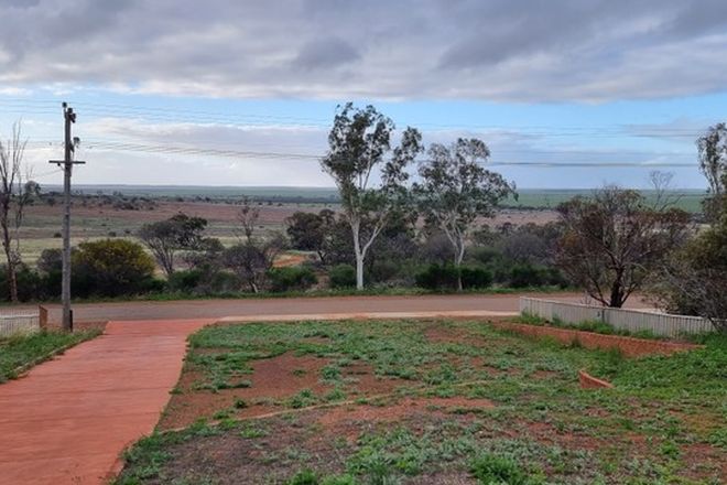 Picture of 16 Birdwood Street, MULLEWA WA 6630