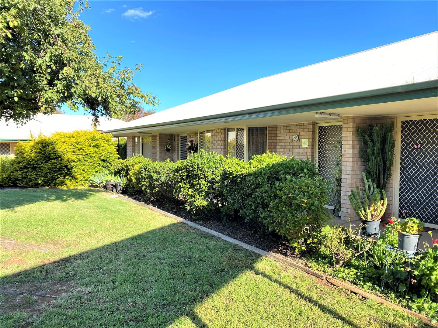 Unit 43/115 Clifton Boulevard, Griffith NSW 2680, Image 0