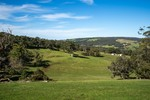 Image 14