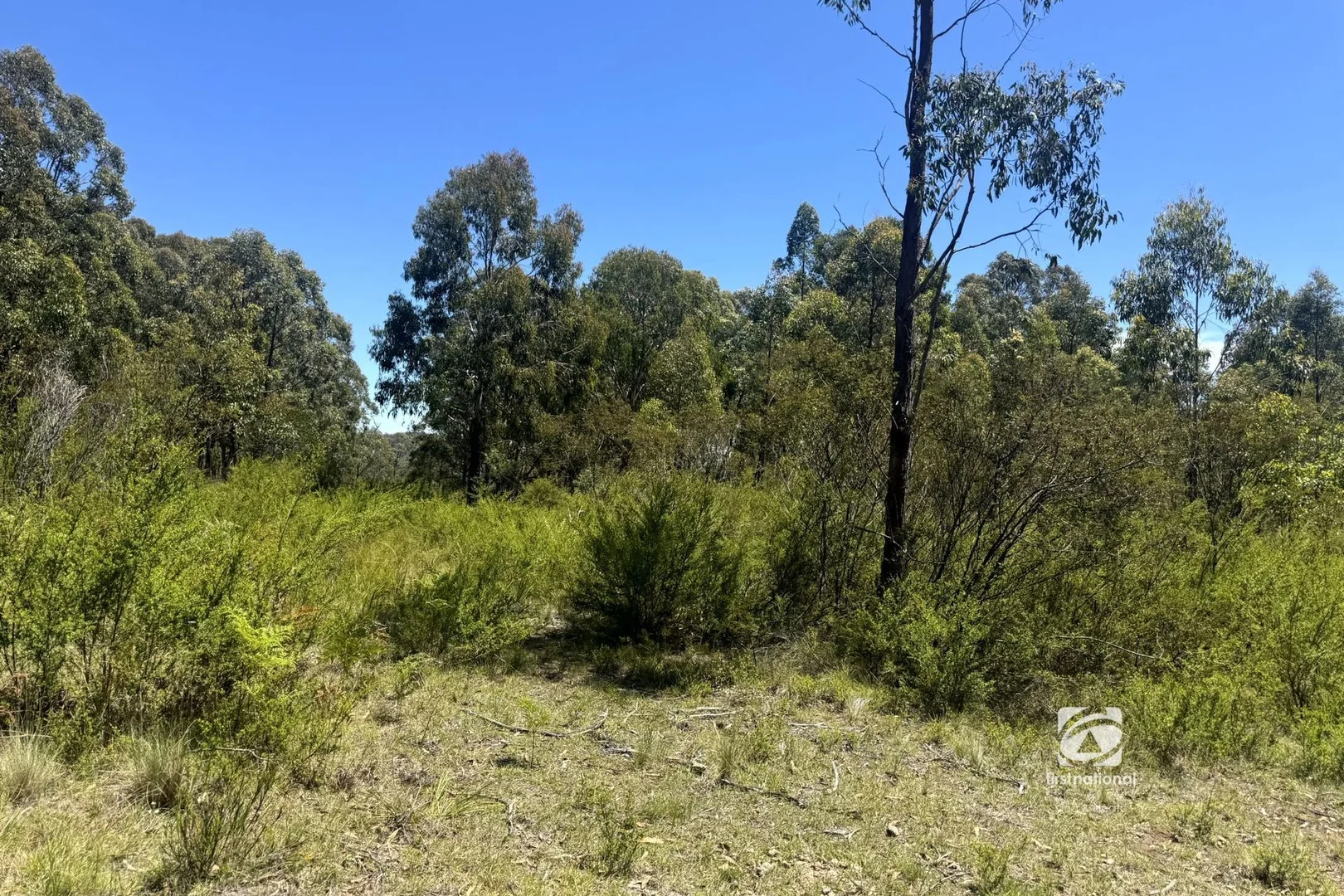 Image 12