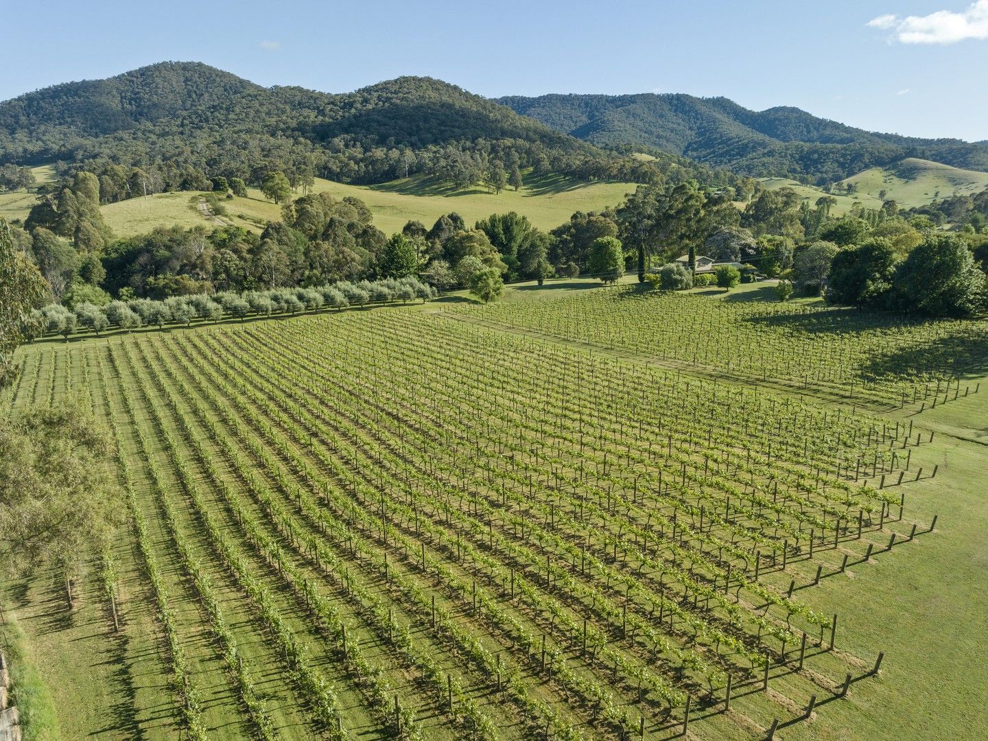 289 JamiesonLicola Road, Jamieson VIC 3723 House for Sale Domain