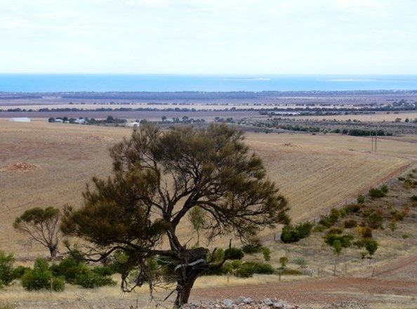 Allot 99 & 100 Nankivell Road, Tumby Bay SA 5605, Image 0