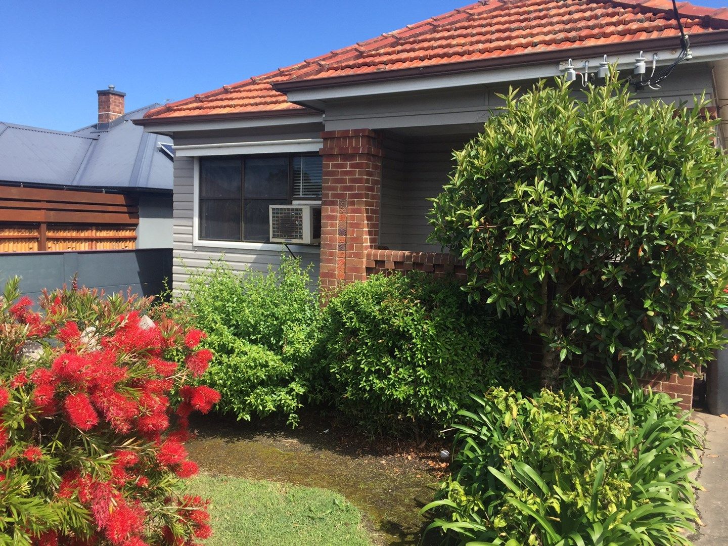 144 Edith Street, Waratah NSW 2298 House For Rent Domain