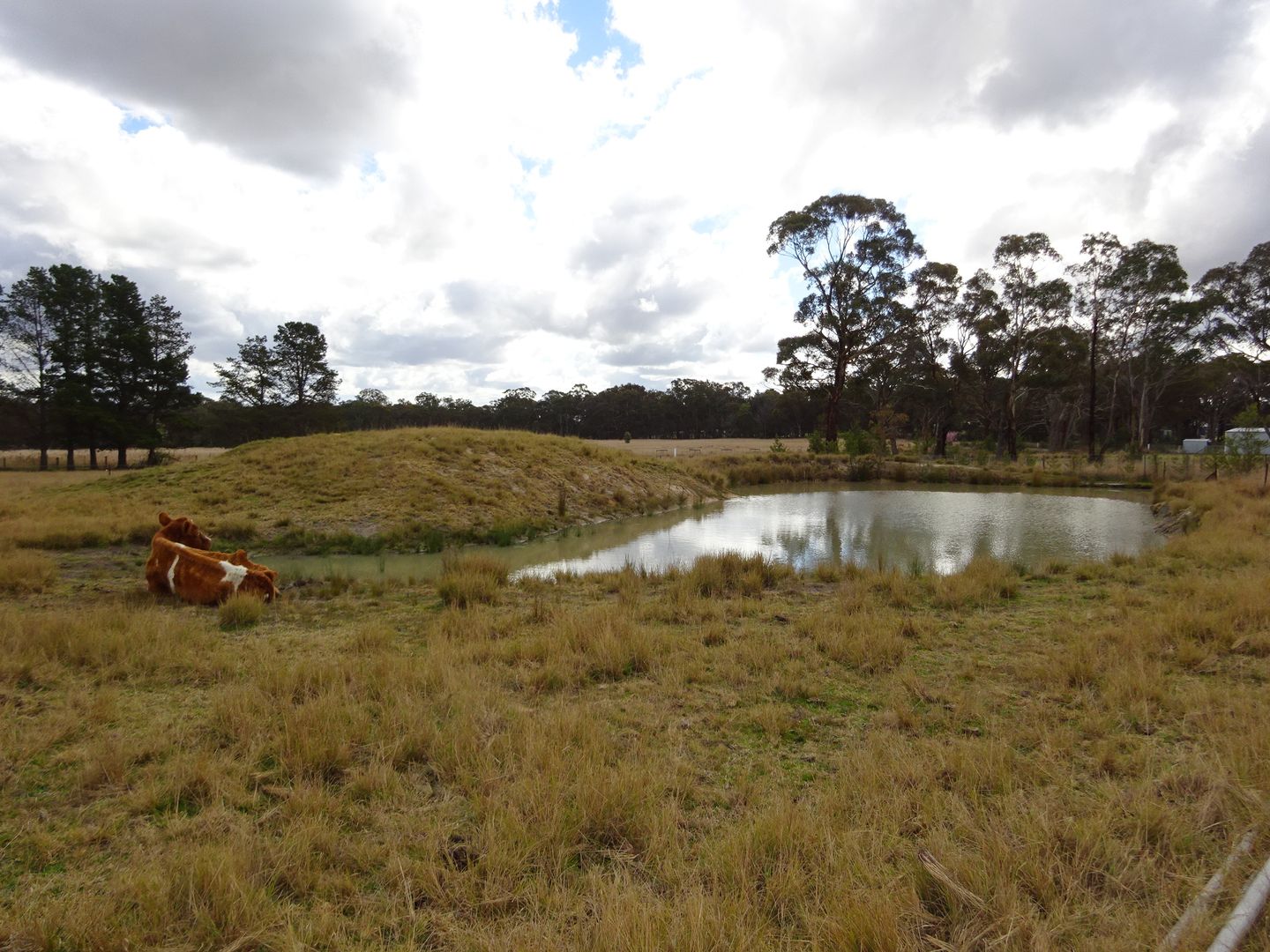 1079 Granite Belt Dr, Dalveen QLD 4374 House for Sale 459,000