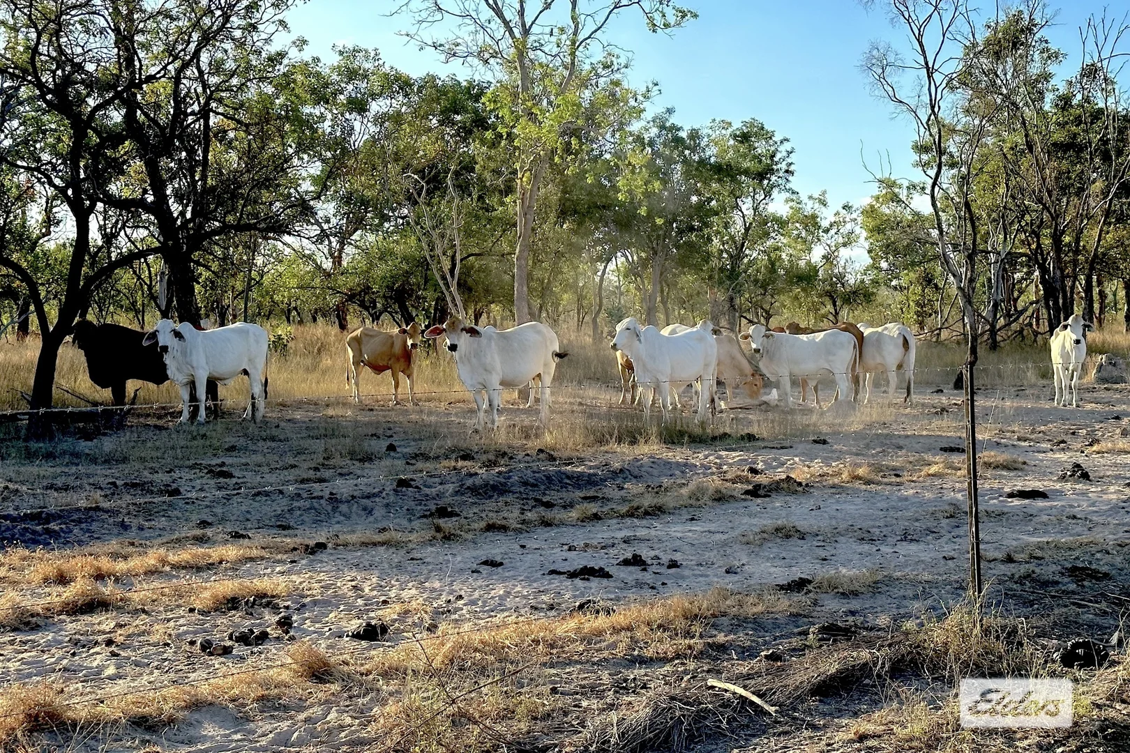 Additional image 9 of 4320 Stuart Highway, Katherine NT 0850