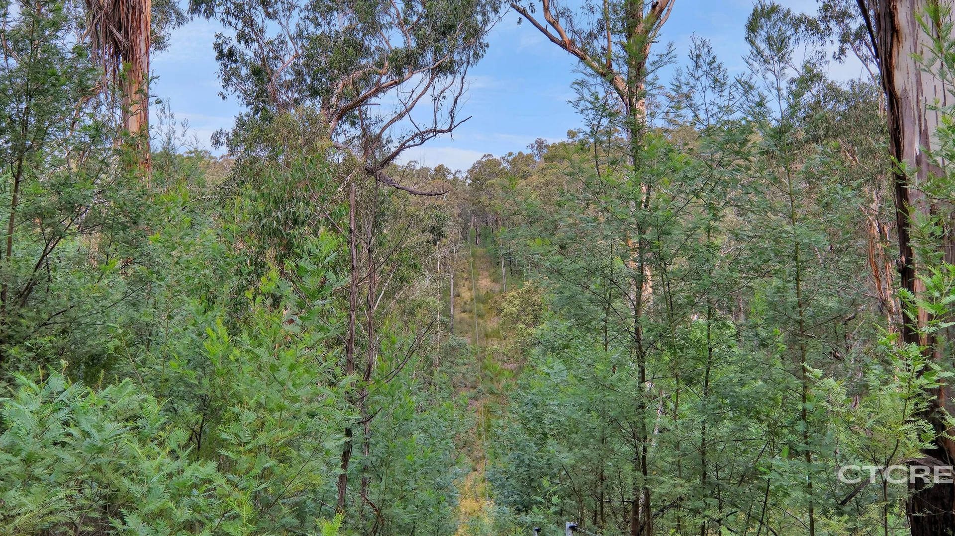 Image 19