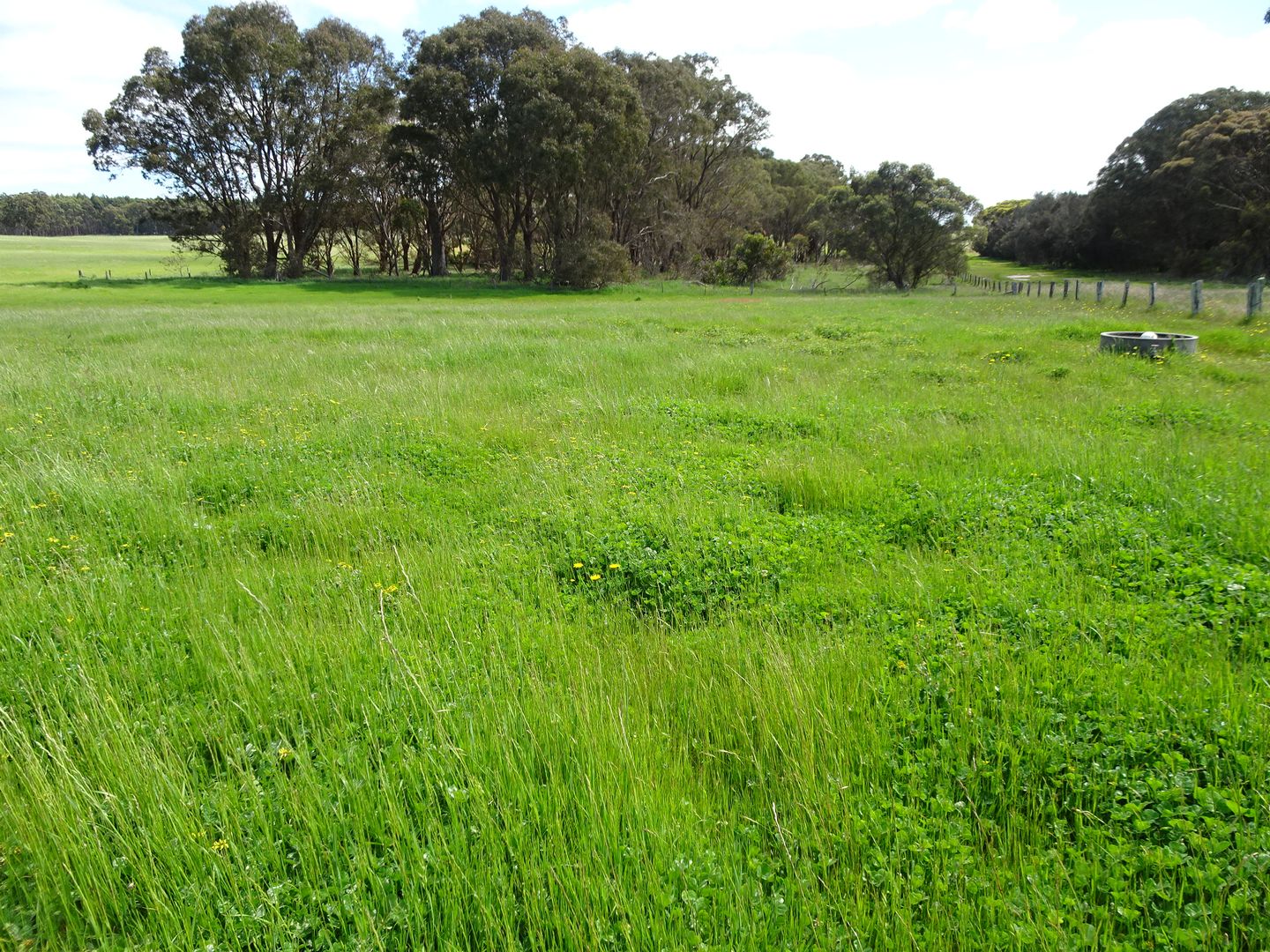 591 Rocky Gully Road, Rocky Gully WA 6397 House for Sale Domain