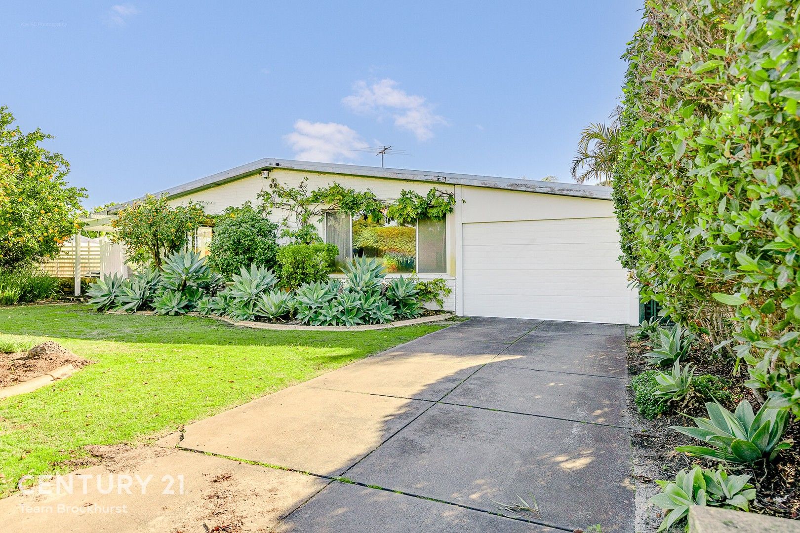 37 Langham Gardens, Wilson WA 6107, Image 0