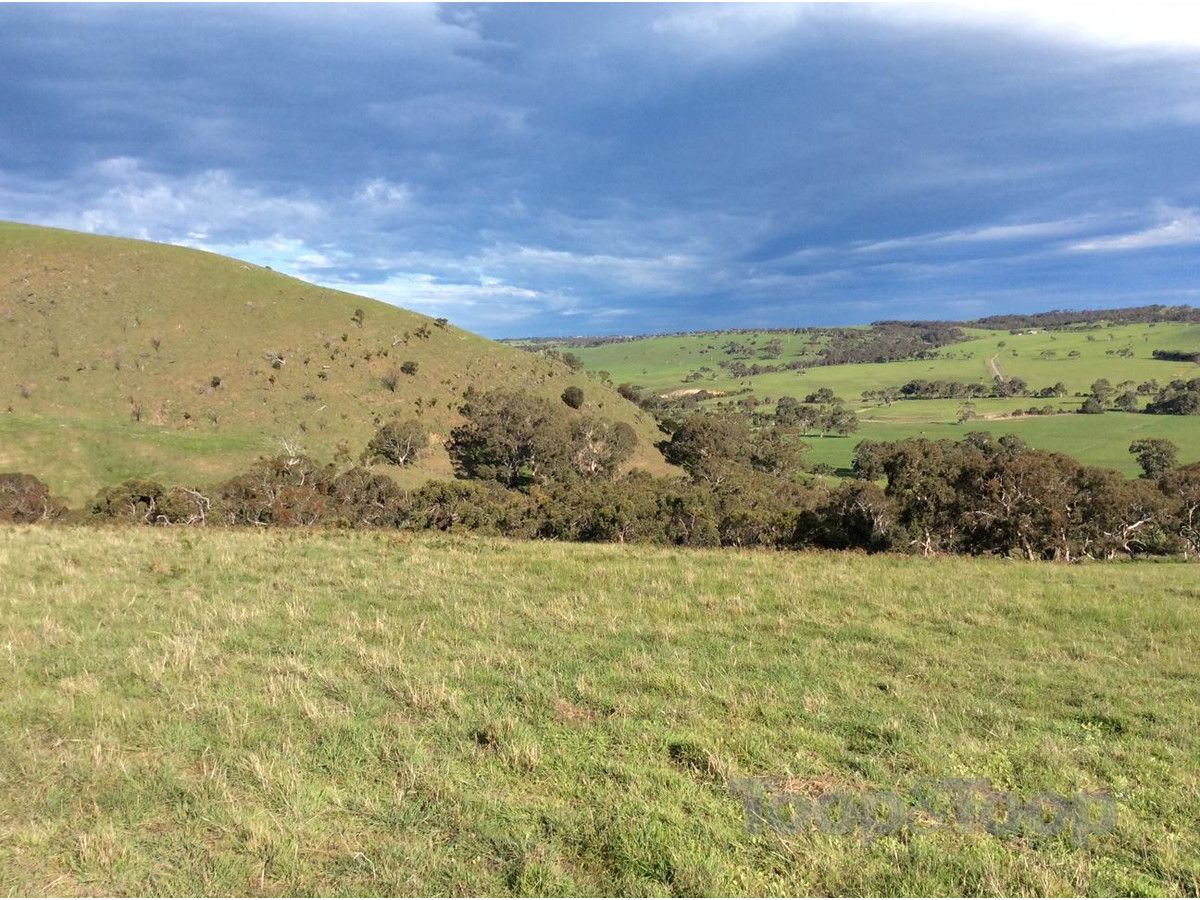 LOT 20 Glenvale Road, Lower Inman Valley SA 5211, Image 2