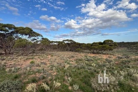 Additional image 5 of Section 369 Schwertie Road, Black Hill SA 5353