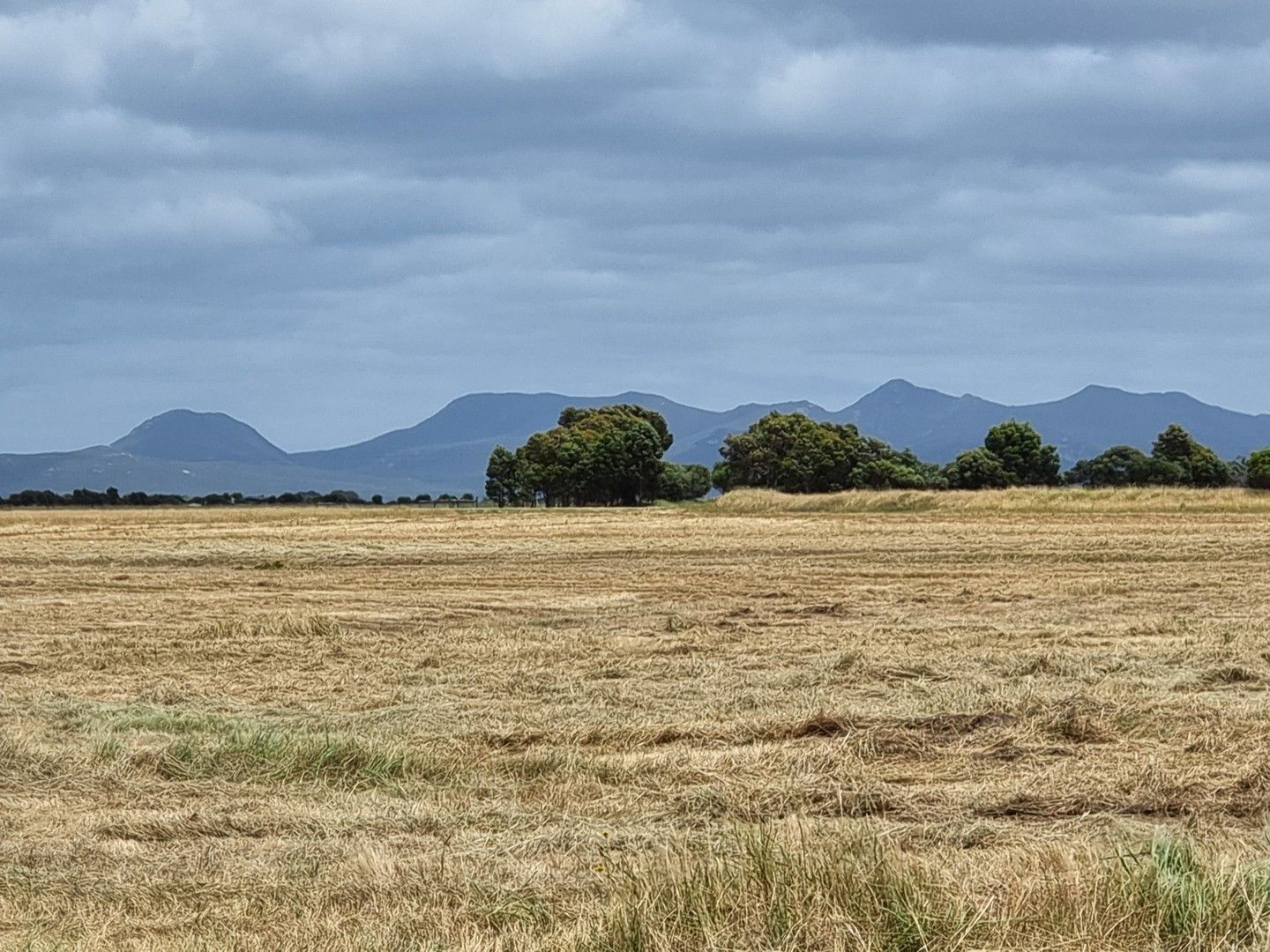 Vacant land in 537 Acacia Drive, HOPETOUN WA, 6348