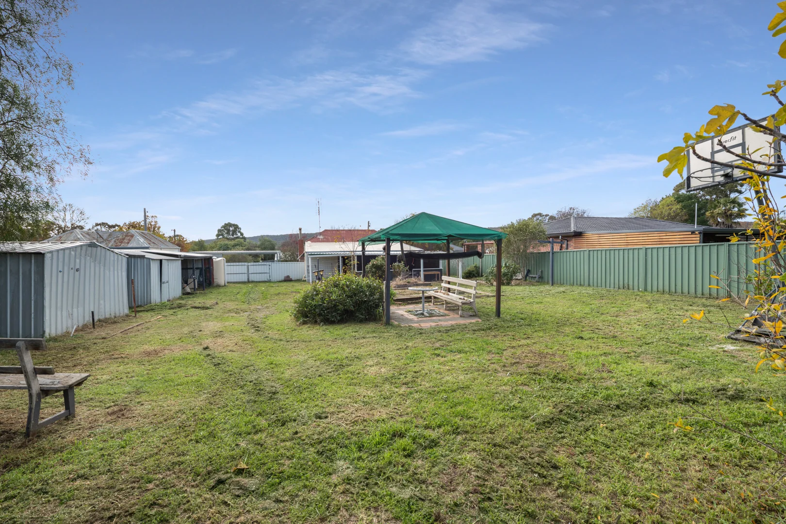 Image 12