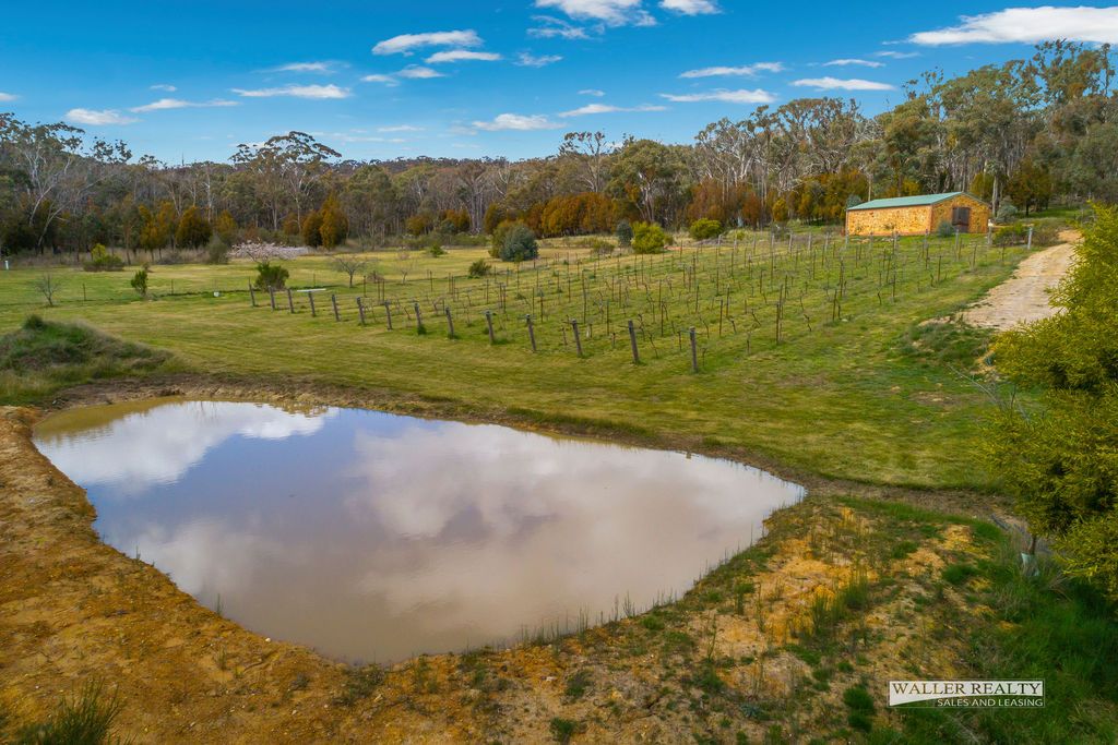 315 Railway Dam Road, Fryerstown VIC 3451, Image 2