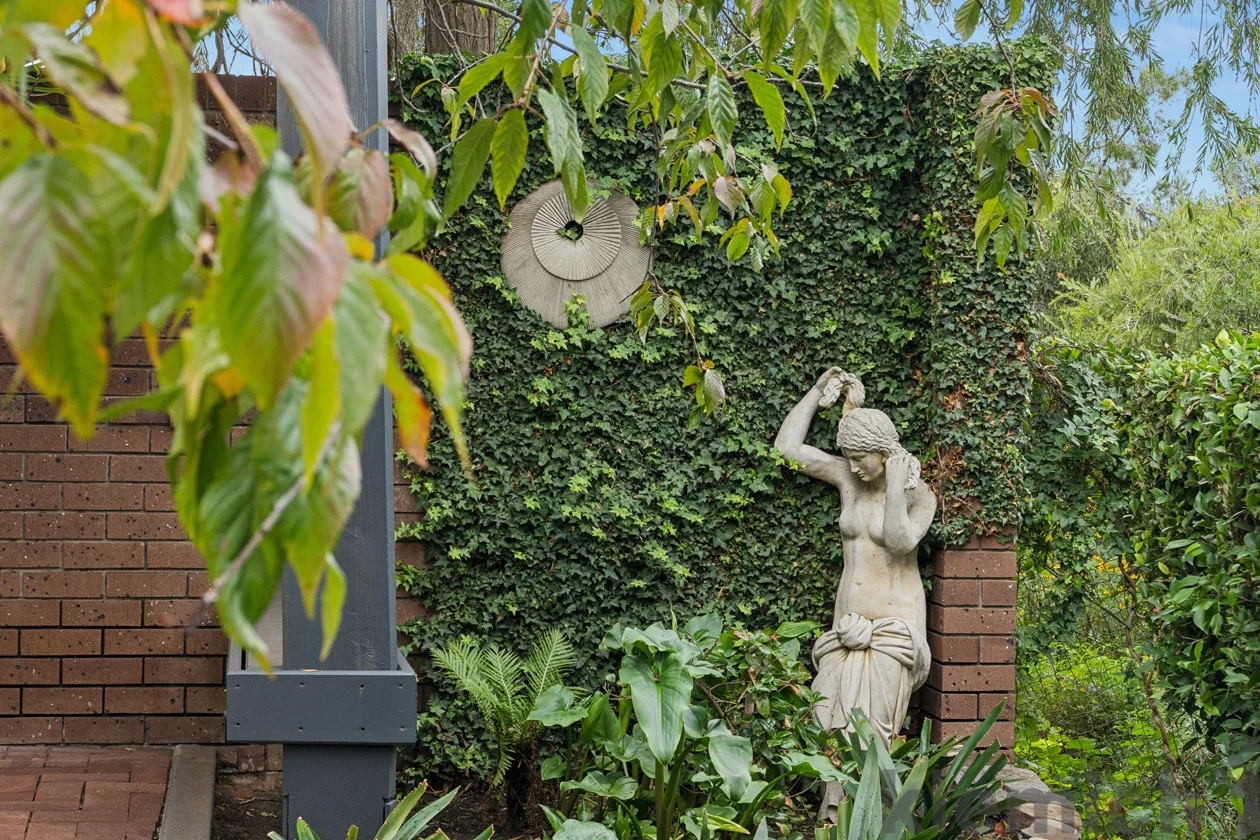 Image 24