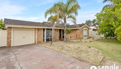 Picture of 12 Majestic Court, THORNLIE WA 6108
