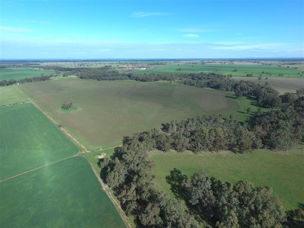 LOT 1/1203 GOORNONG - MAYREEF ROAD, Avonmore VIC 3559, Image 2