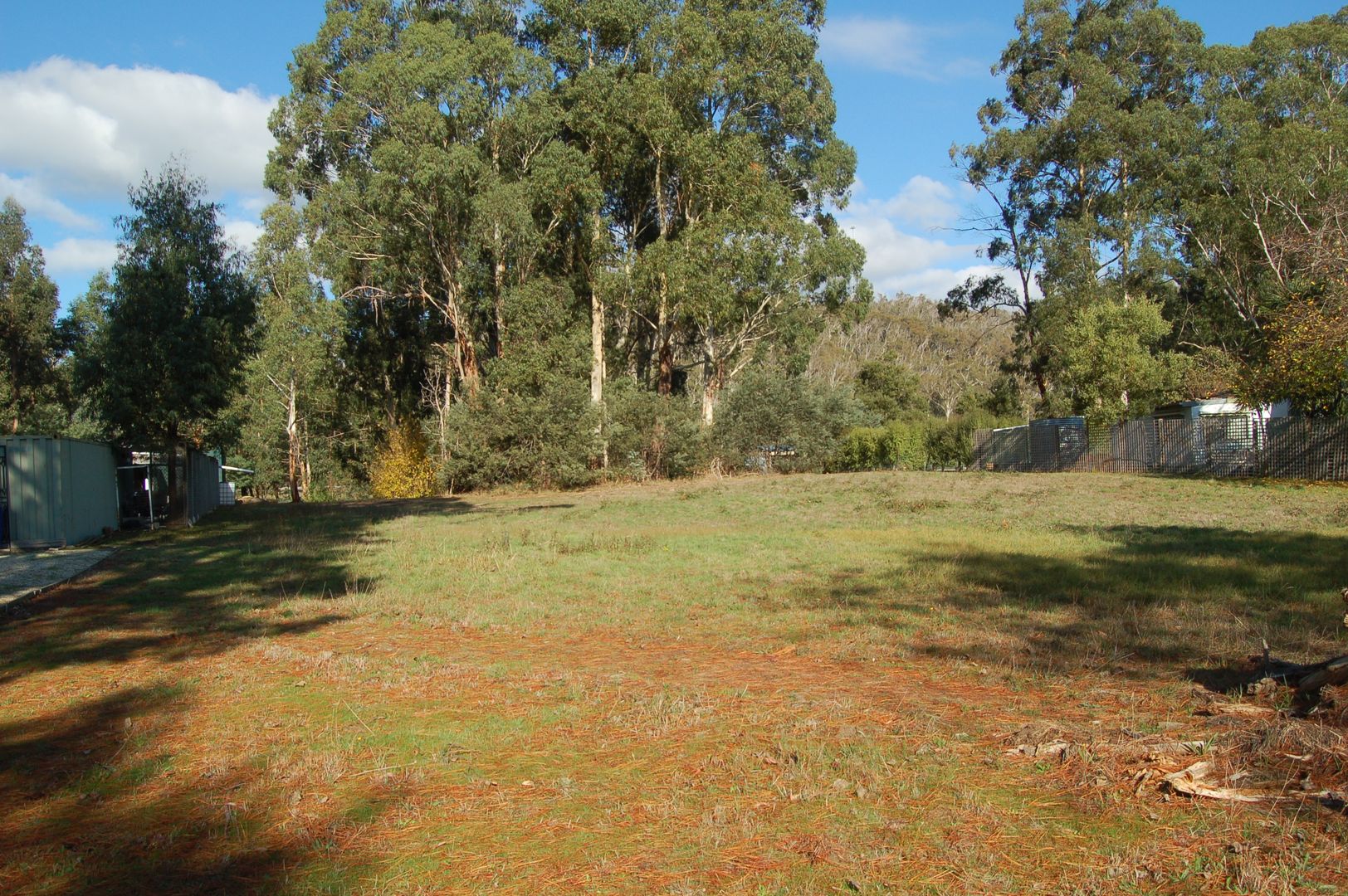 31 FOREST ROAD, Flowerdale VIC 3717, Image 2