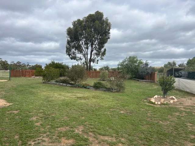 Image 35