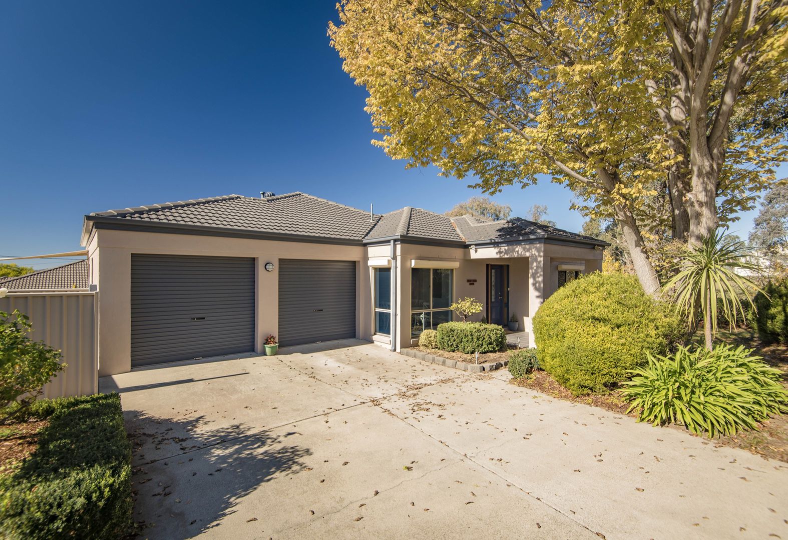 42 Cargelligo Street, Duffy ACT 2611, Image 1