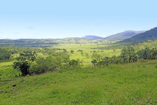 Picture of "LEILA PARK" A PIERCE ROAD, MORINISH QLD 4702