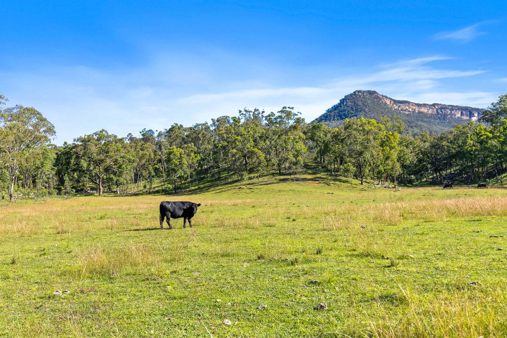 Additional image 16 of Lot 28/505 Genowlan Road, Glen Alice NSW 2849