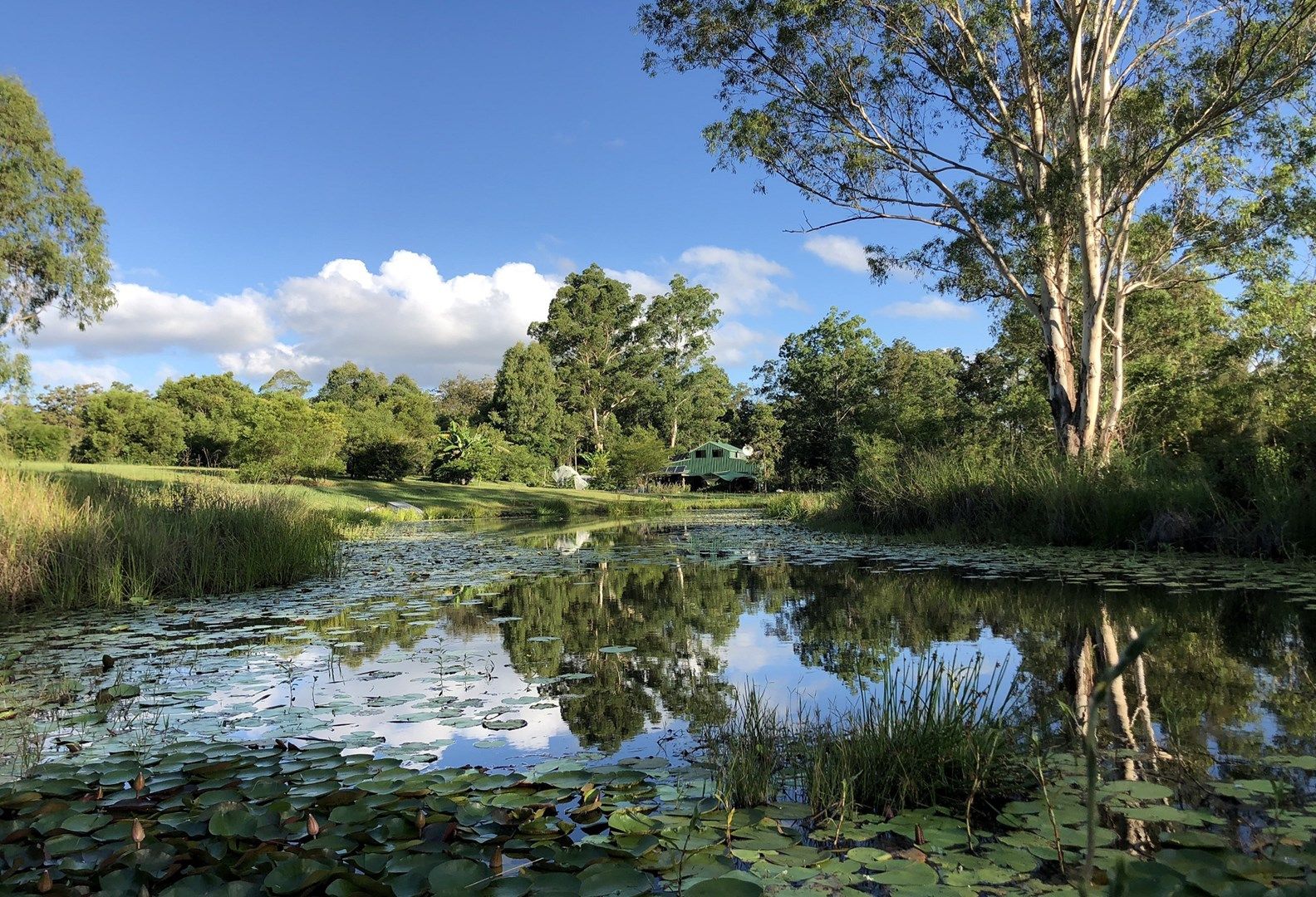 144 Stringybark Lane, Toonumbar NSW 2474, Image 0