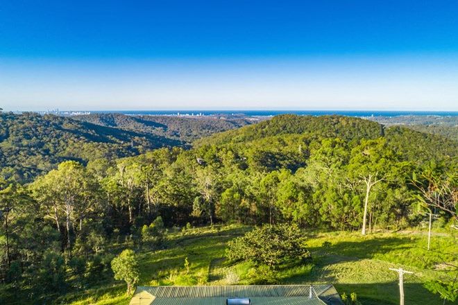 Picture of 135 Nancol Drive, TALLEBUDGERA VALLEY QLD 4228