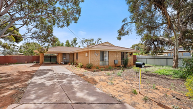 Picture of 38 Sewell Drive, SOUTH KALGOORLIE WA 6430