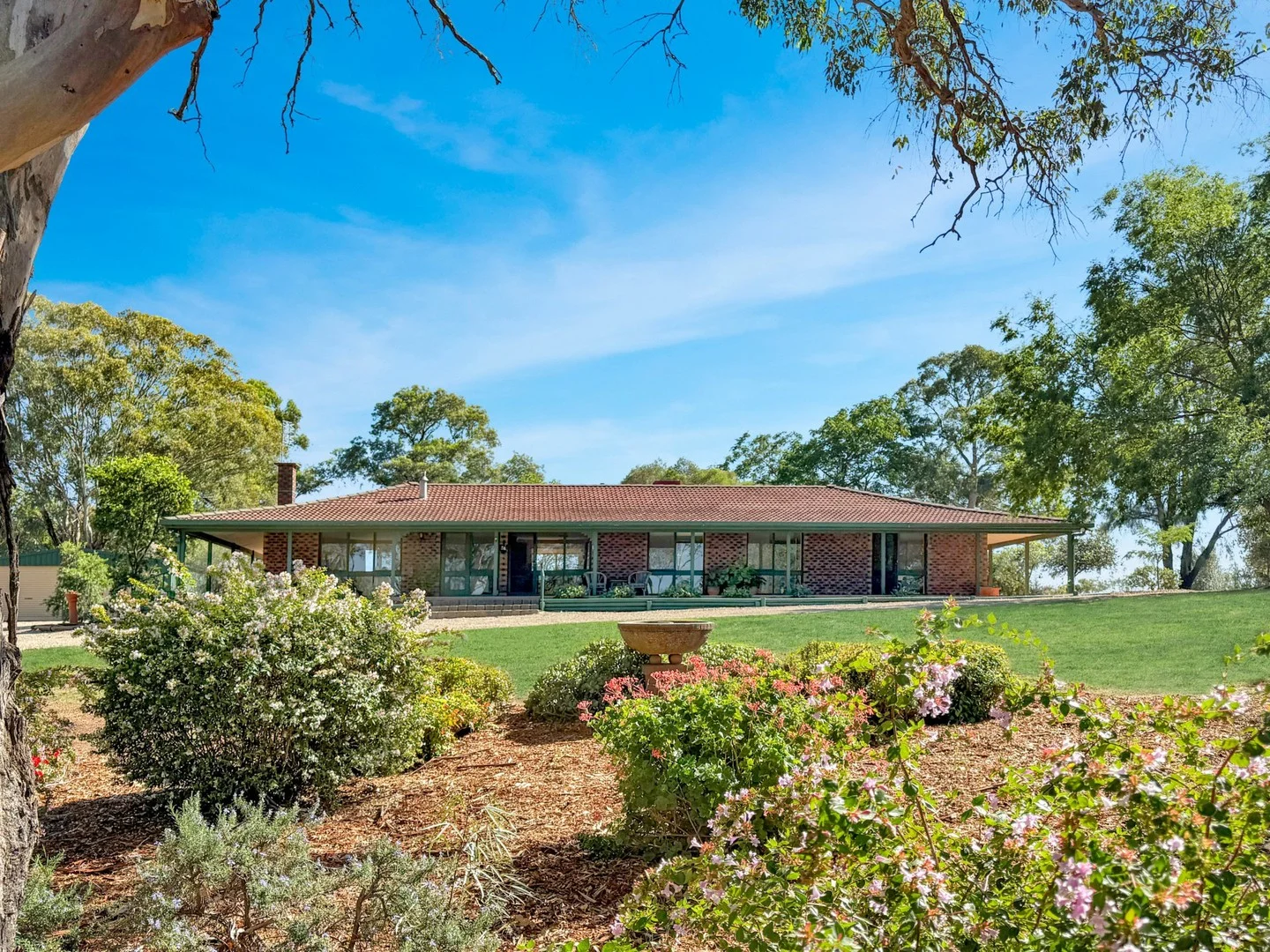 60 Redhill Road, Young NSW 2594