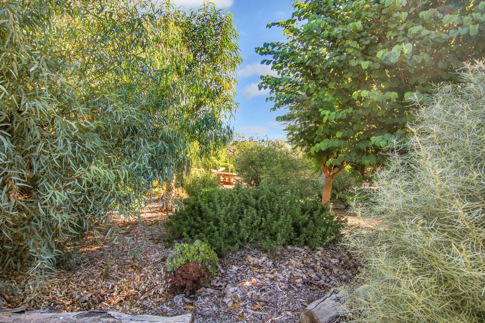 Additional image 24 of 131 Old Blanchetown Road, Waikerie SA 5330