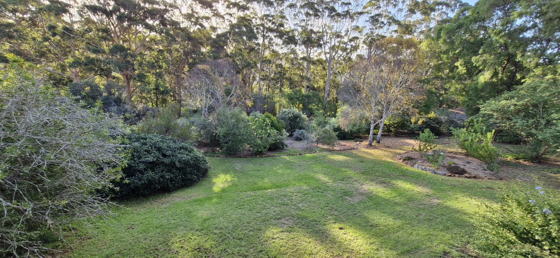 Image 13