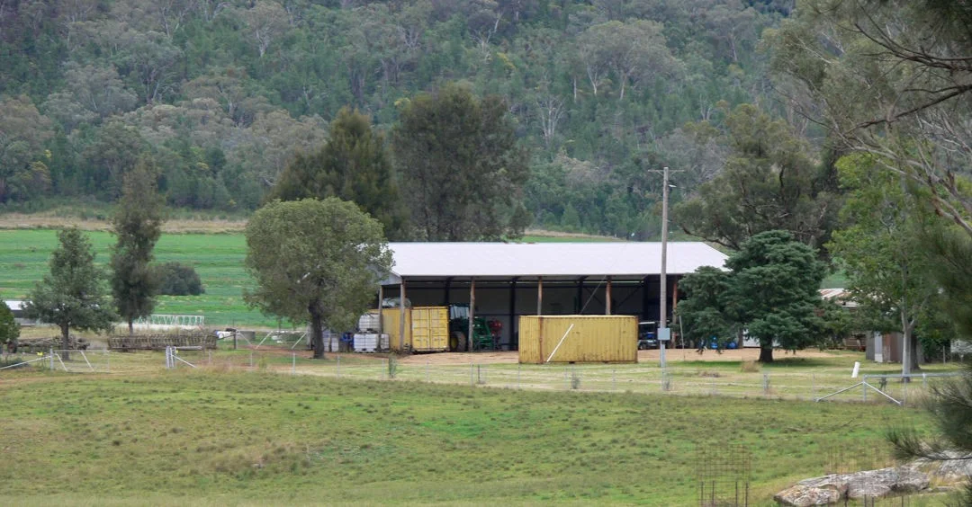 Image 15