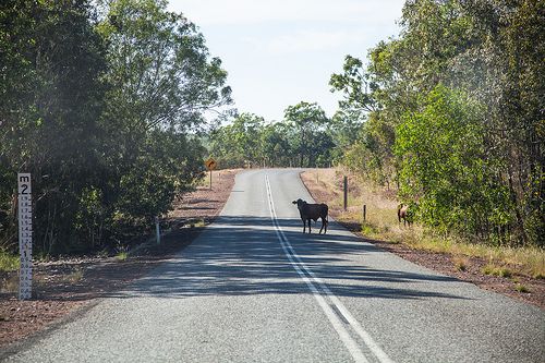 Crater Lake Road, Batchelor NT 0845, Image 1