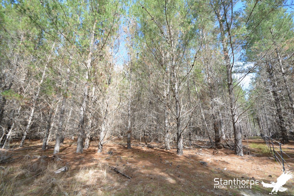 Lot 247 Radiata Close, Sugarloaf QLD 4380, Image 0