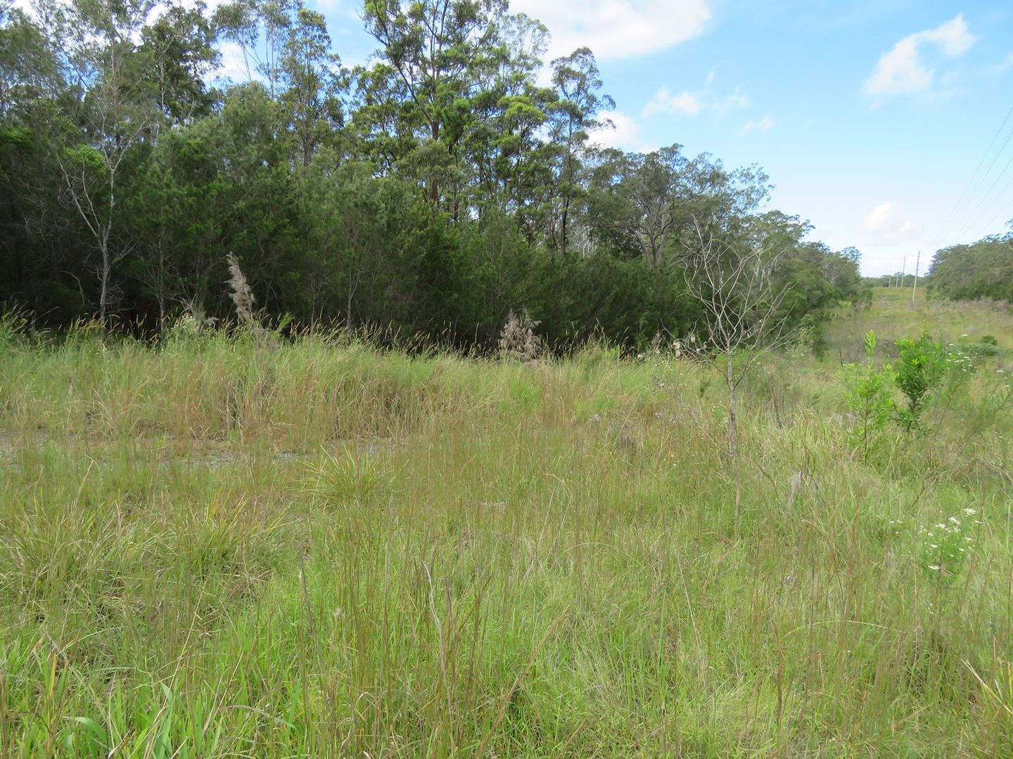 Lot 2 Wharf Road, Kundabung NSW 2441, Image 2