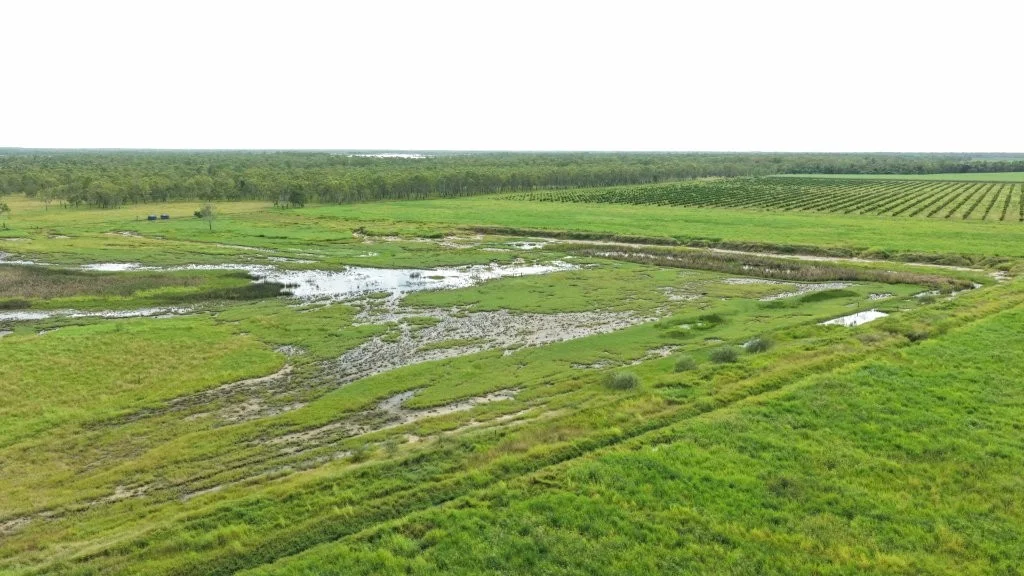 Additional image 15 of 3 Comiskey Road, Giru QLD 4809