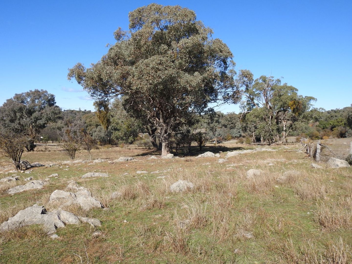 39 Queen Street, Molong NSW 2866 - Vacant Land for Sale ...