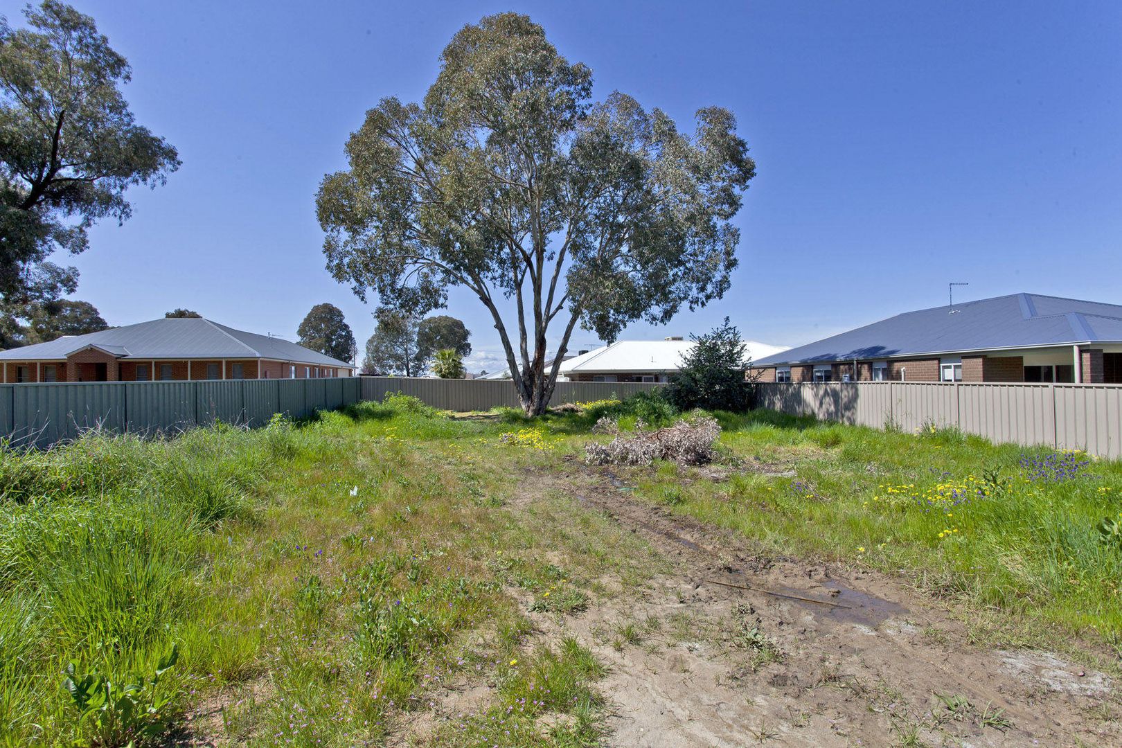 19 Chafia Place, Springdale Heights Property History & Address