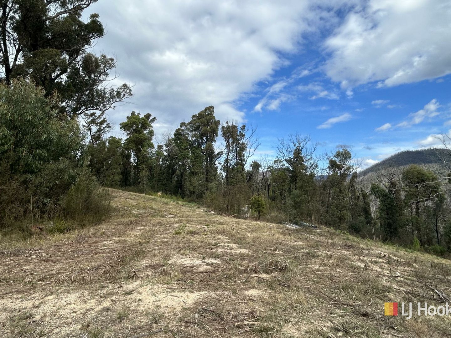 342 Murrabrine Forest Road, Cobargo NSW 2550, Image 2