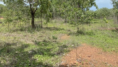 Picture of 715 Strickland Road, ADELAIDE RIVER NT 0846